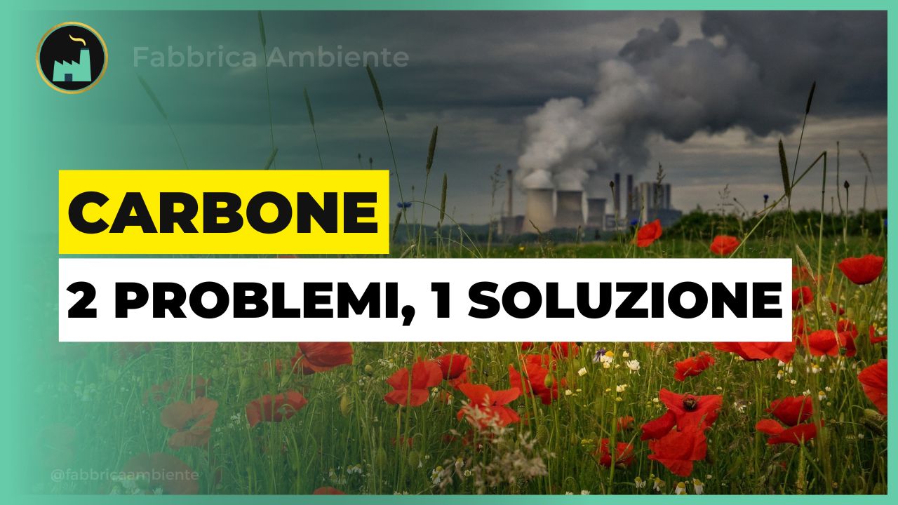 Centrali termoelettriche a carbone molto più ecologiche grazie all'erba elefante ed al compost